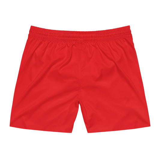 NV Black line Swim Shorts