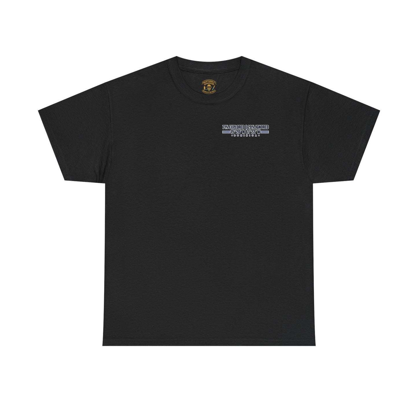 Dominica Coordinates Tee