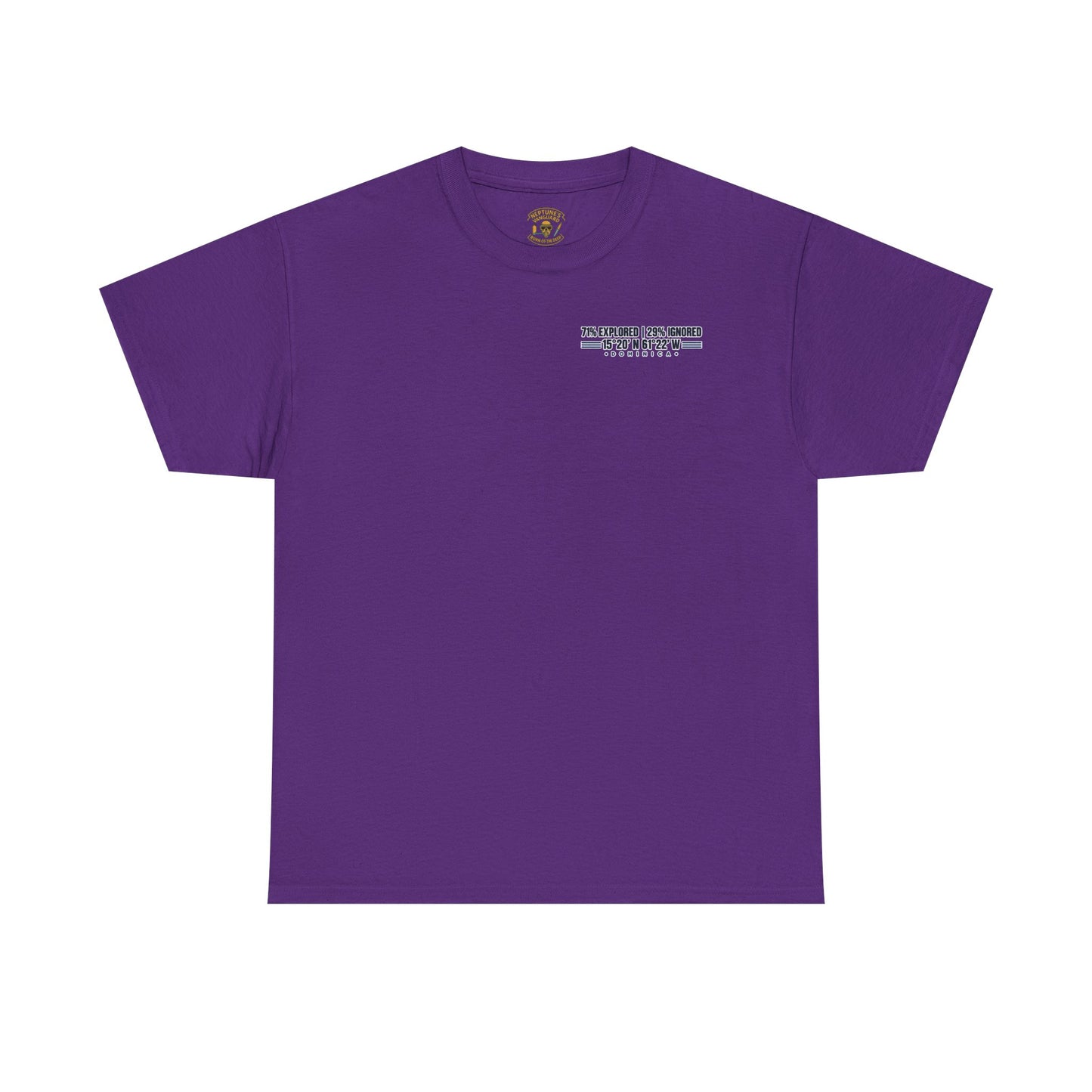 Dominica Coordinates Tee