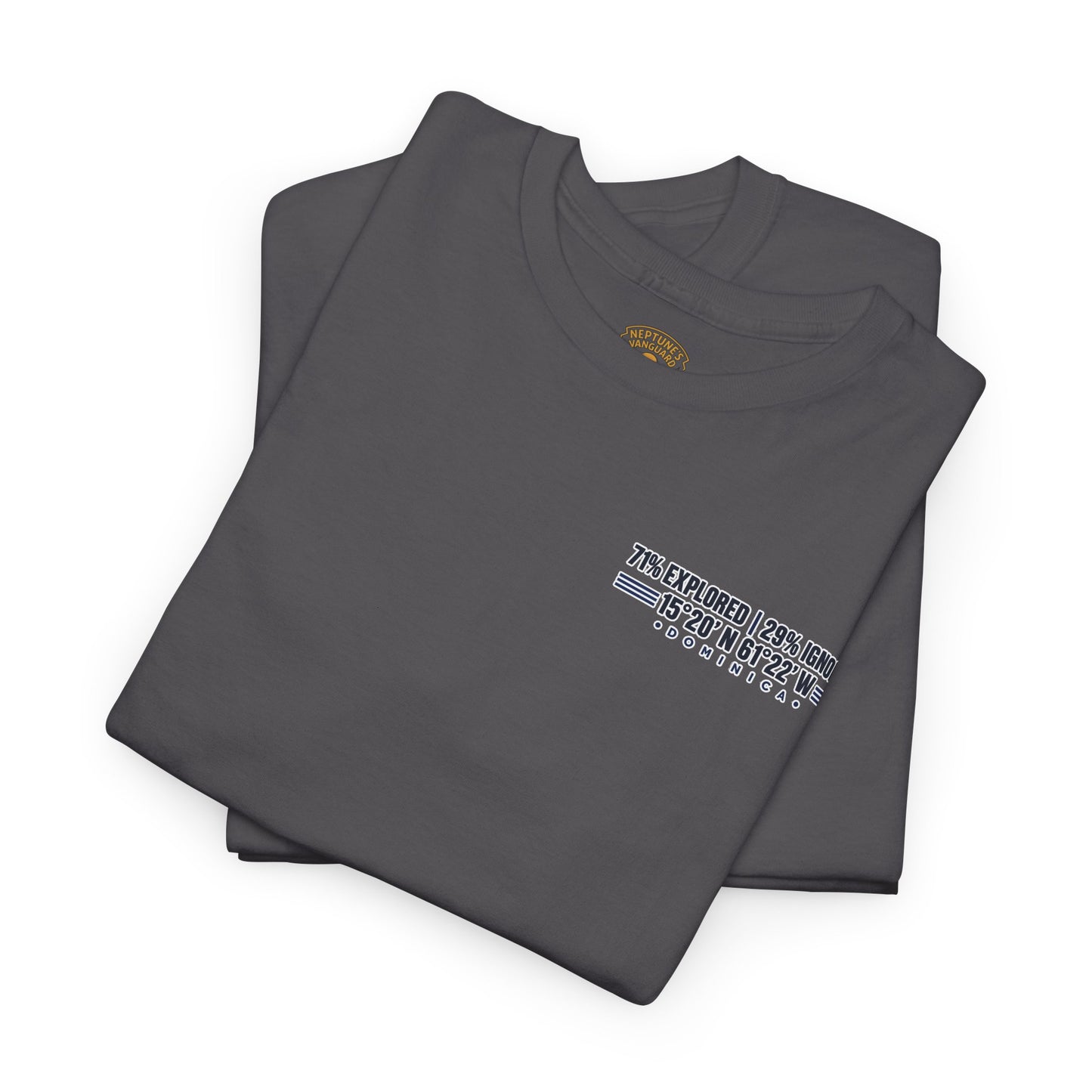 Dominica Coordinates Tee