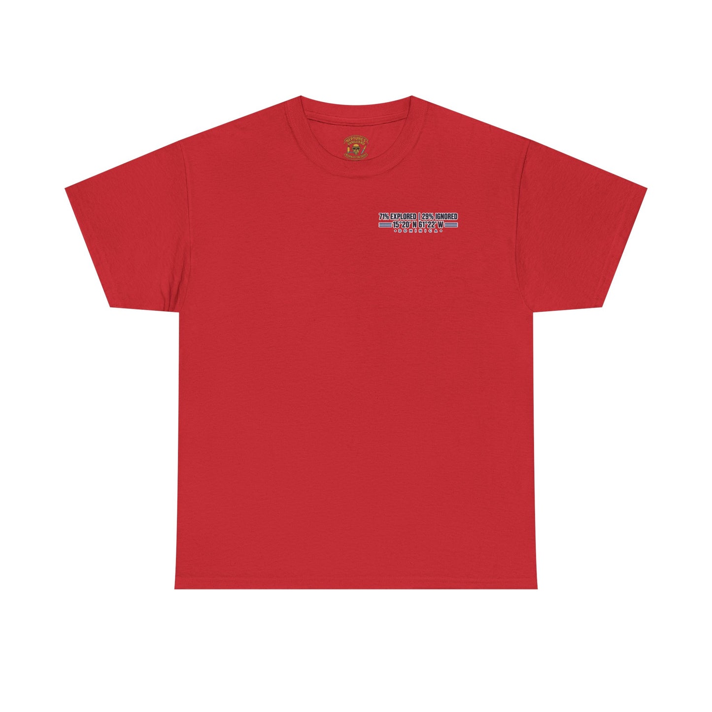Dominica Coordinates Tee