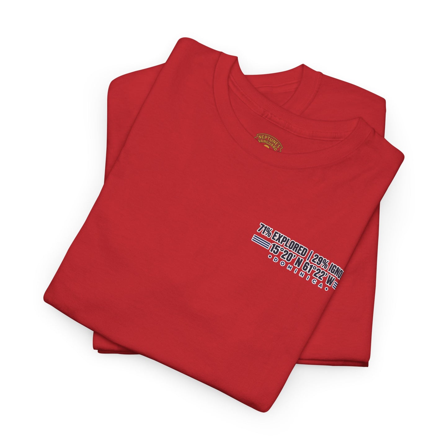 Dominica Coordinates Tee