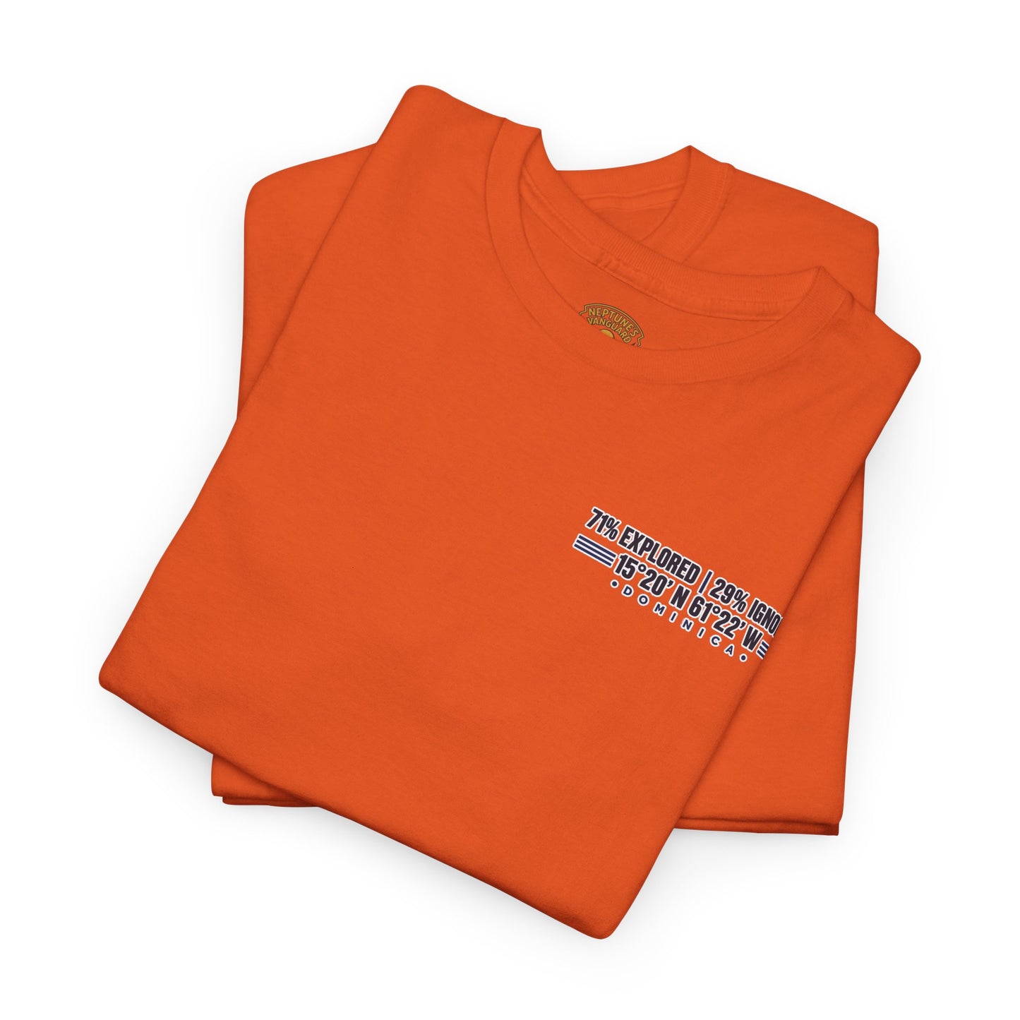 Dominica Coordinates Tee