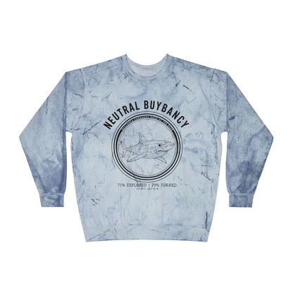 Neutral Buoyancy Tie-Dye Pullover