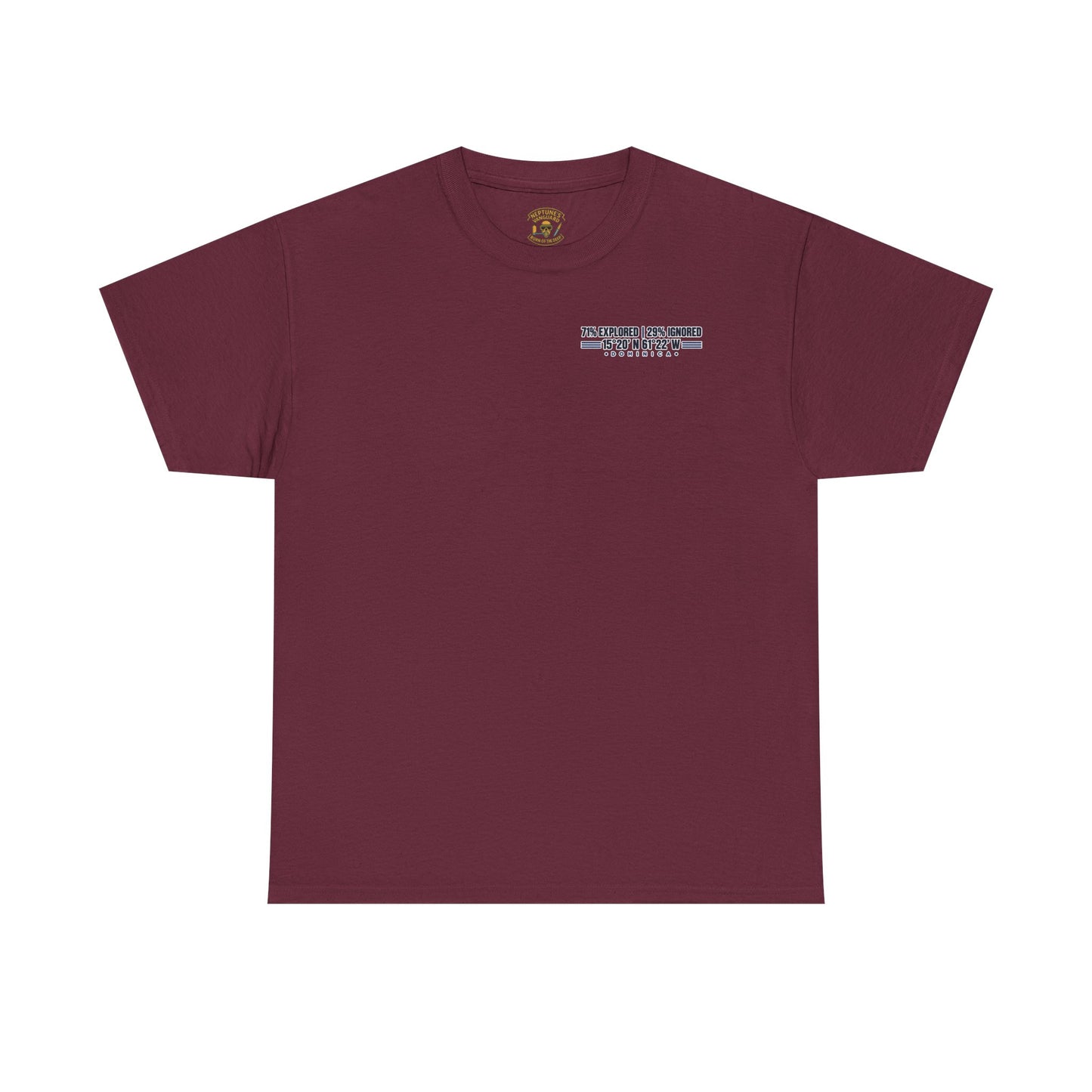 Dominica Coordinates Tee
