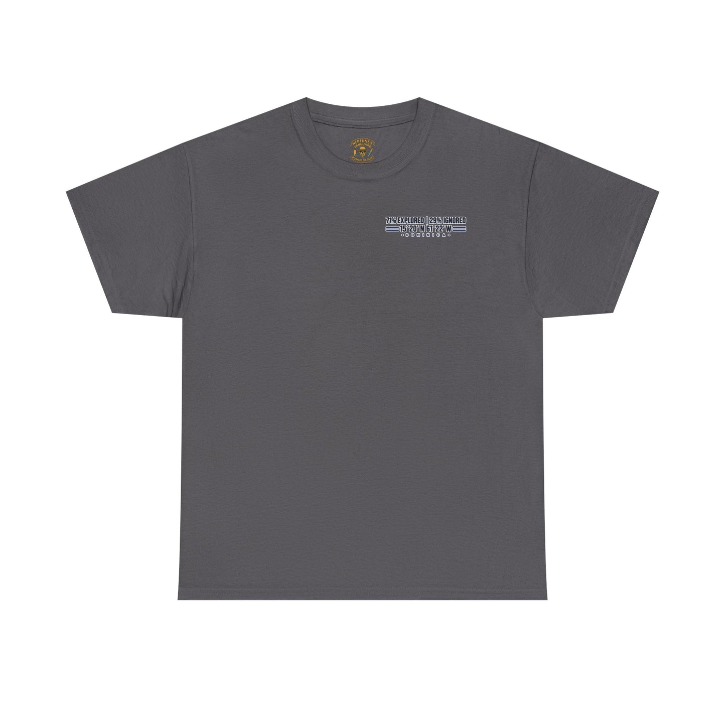 Dominica Coordinates Tee