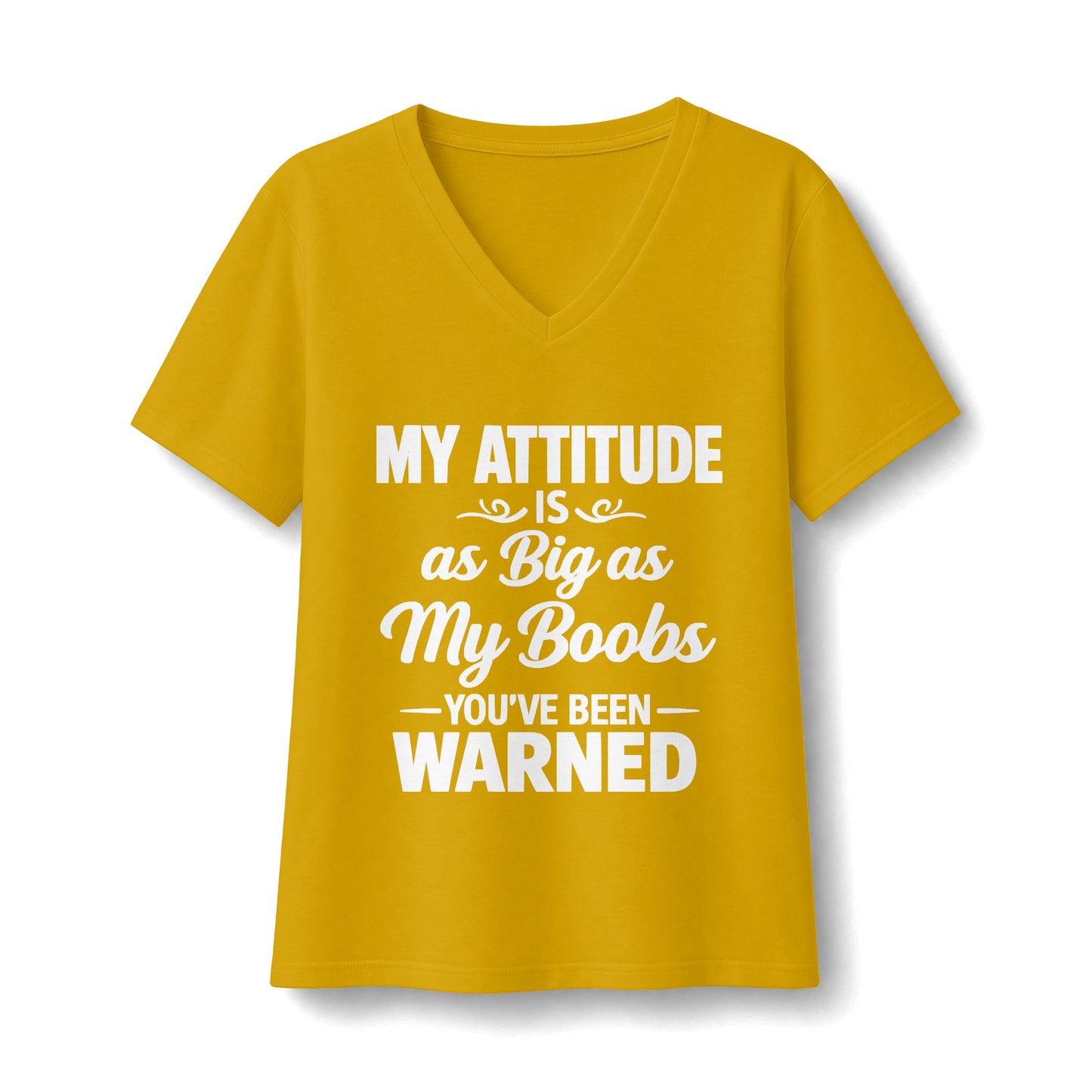 Women's Relaxed Jersey Short Sleeve V-Neck Tee