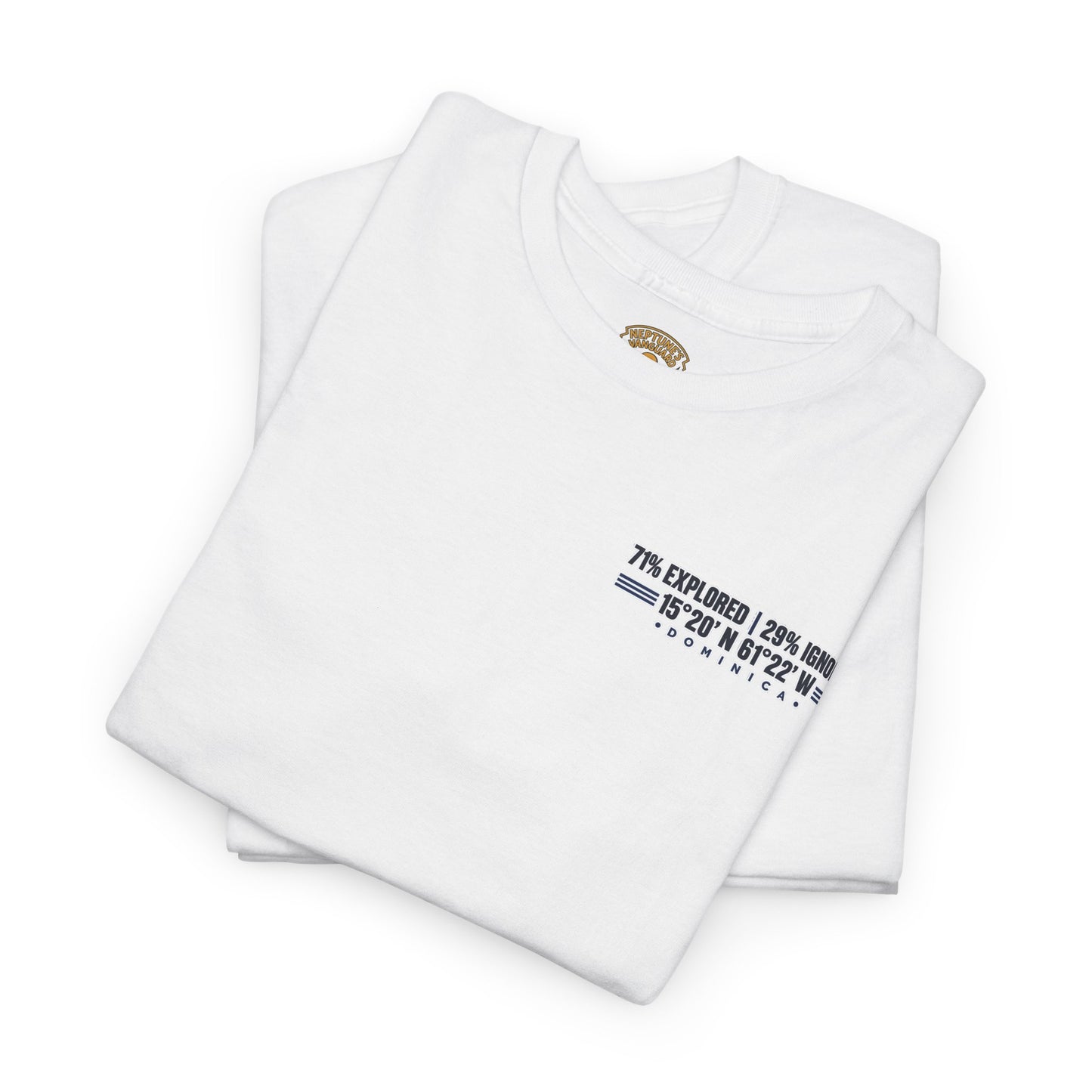 Dominica Coordinates Tee