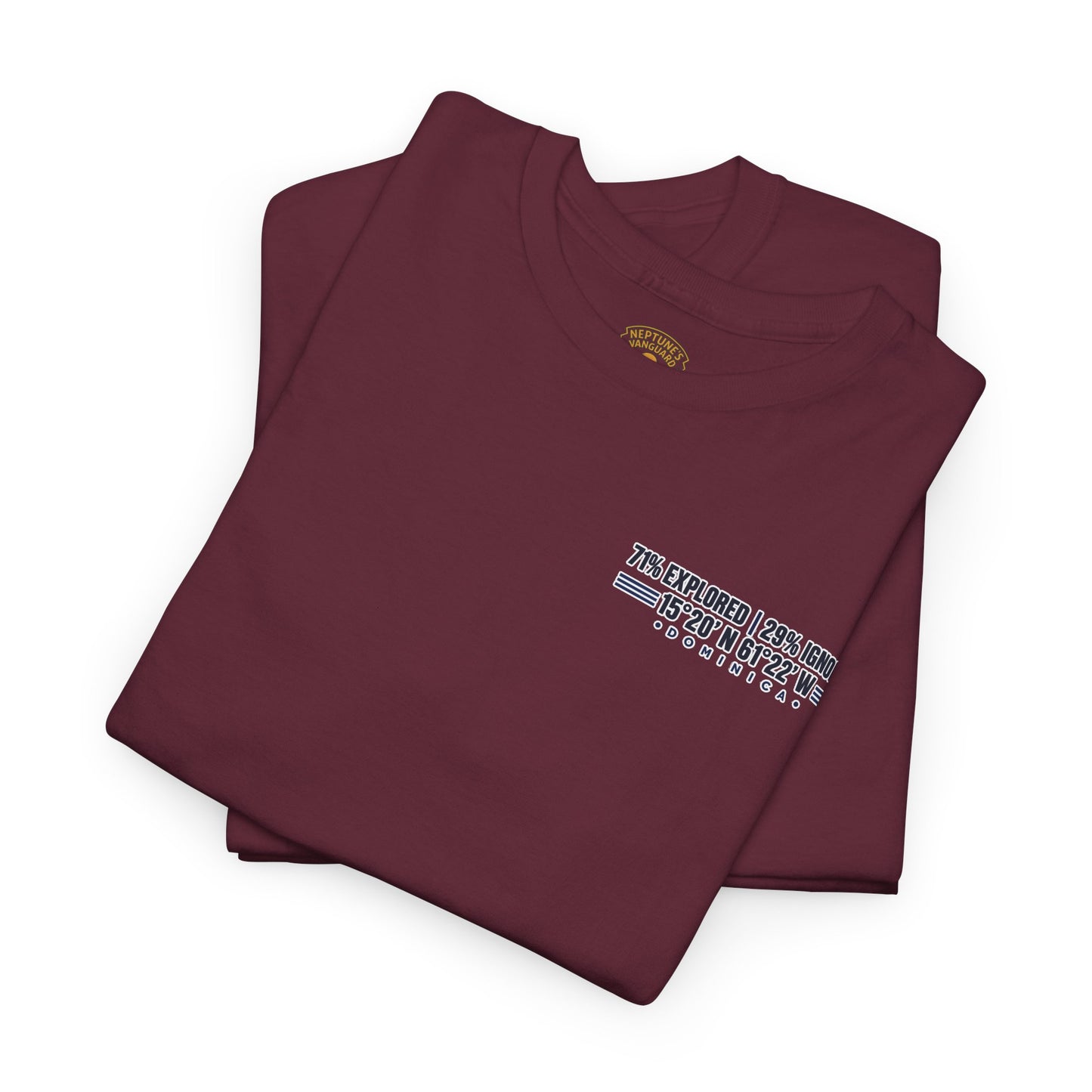 Dominica Coordinates Tee