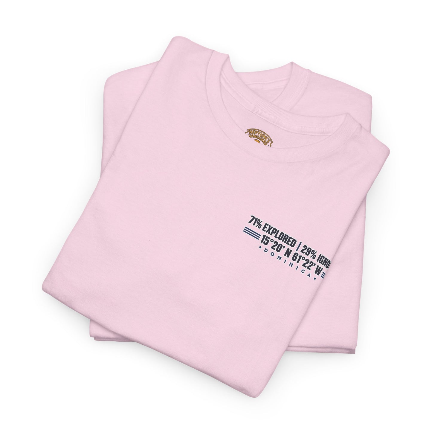 Dominica Coordinates Tee