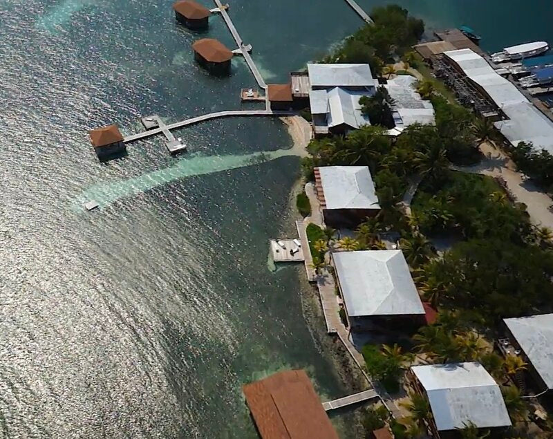 Roatán 2027 Non-Diver Package | Double Occupancy | Full Payment