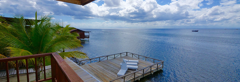 Roatán 2027 Non-Diver Package | Double Occupancy | Full Payment